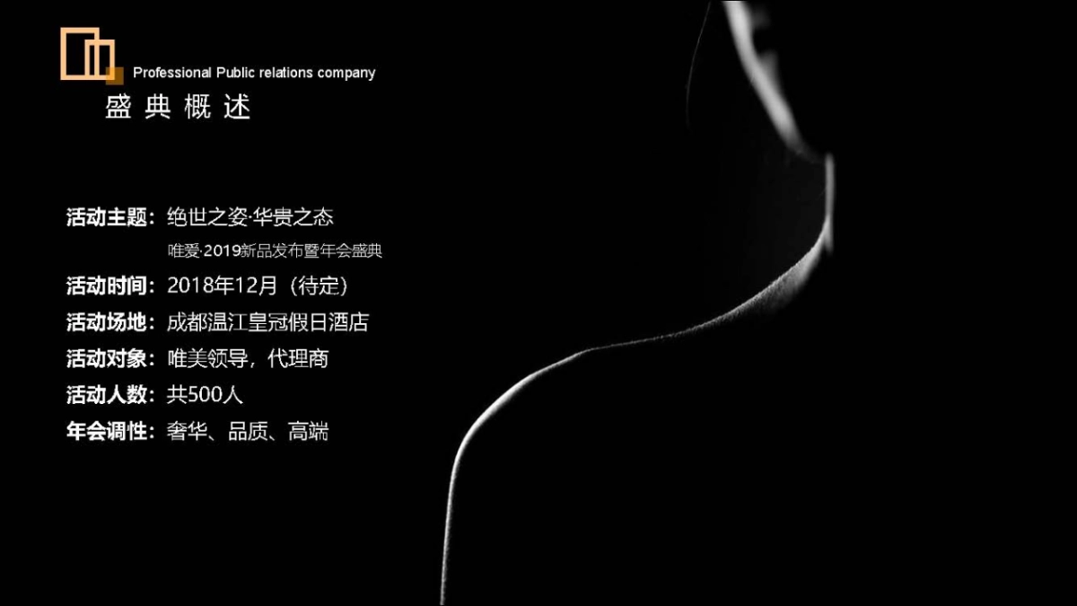 2019新品发布暨年会盛典_第8页