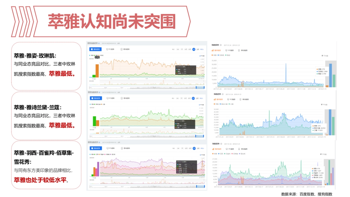 萃雅品牌传播策划与执行方案_第10页