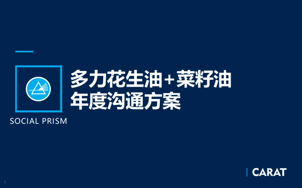 多力花生油沟通与传播执行方案0730_第1页