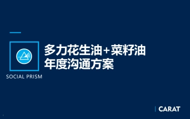 多力花生油沟通与传播执行方案0730