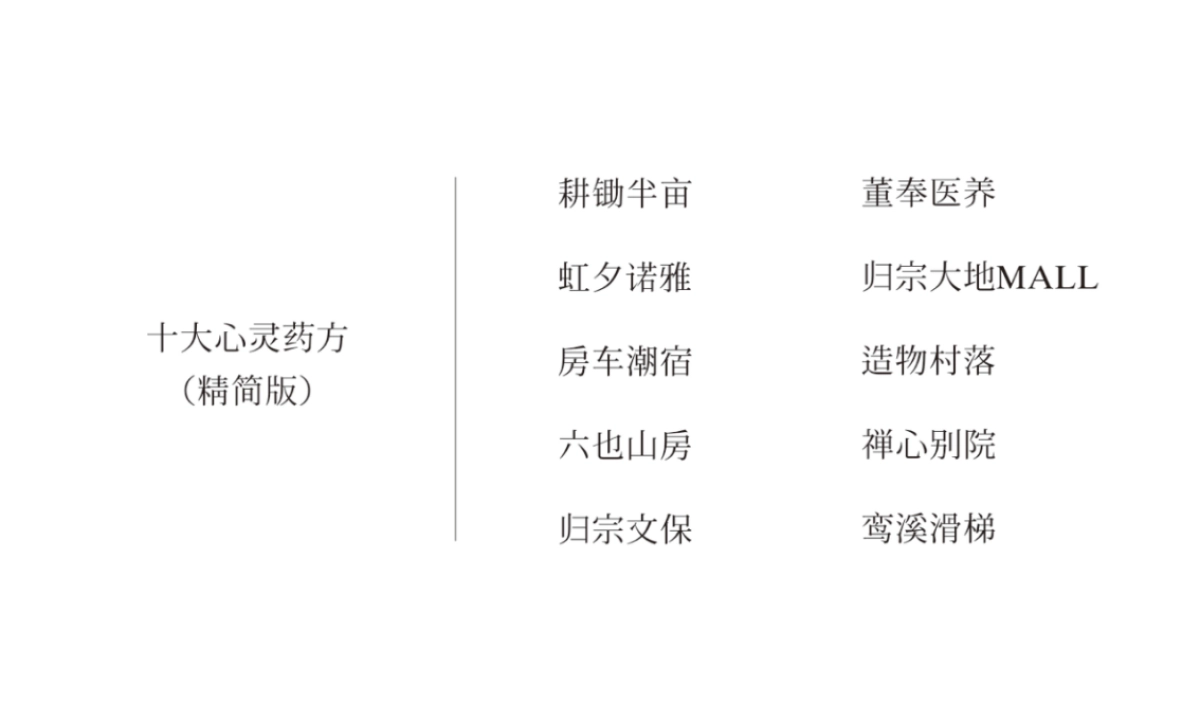 海纳创意-中航归宗度假养心文化旅游度假区品牌形象执行案_第5页