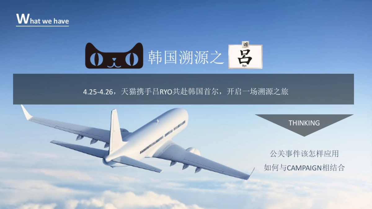 吕Q2 social campaign proposal  - 执行方案_第4页