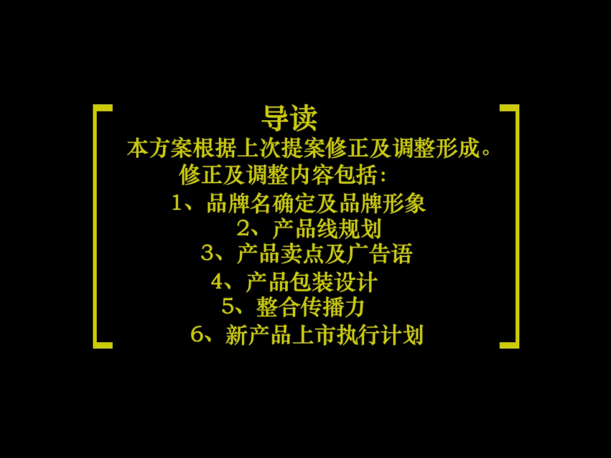 白象—每客新品上市规划及执行计划_第2页