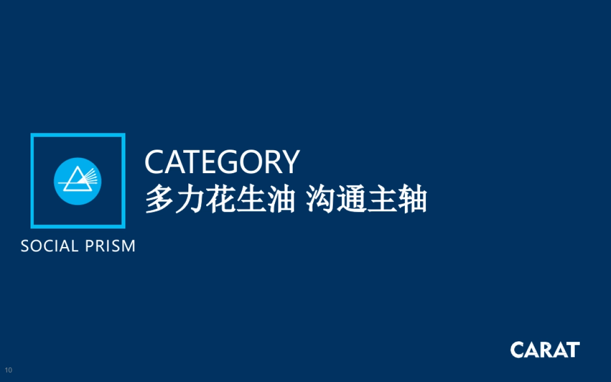 2018-2019年多力花生油媒介投放执行全案_第10页