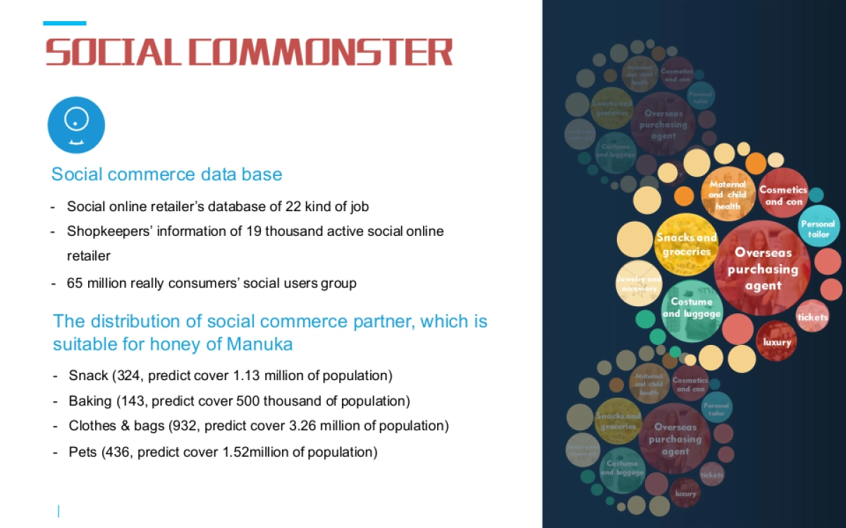 2018-2019年多力花生油媒介投放执行全案_第2页