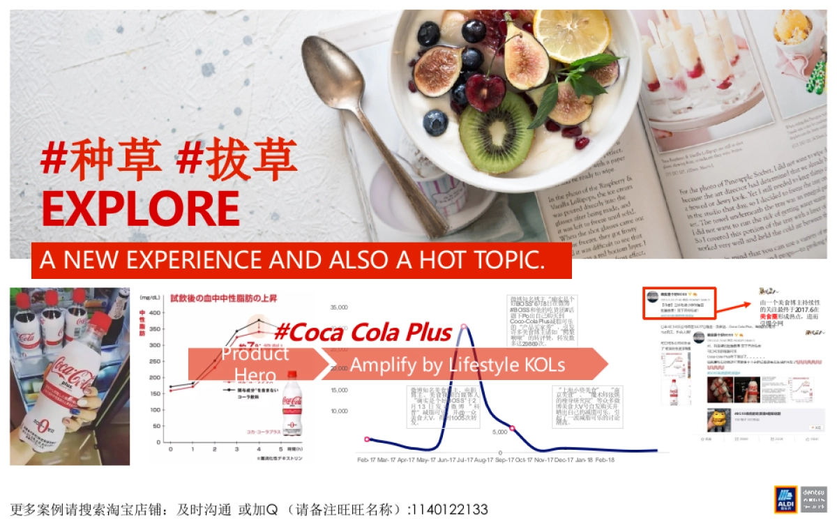 2018-2019年多力花生油媒介投放执行全案_第8页