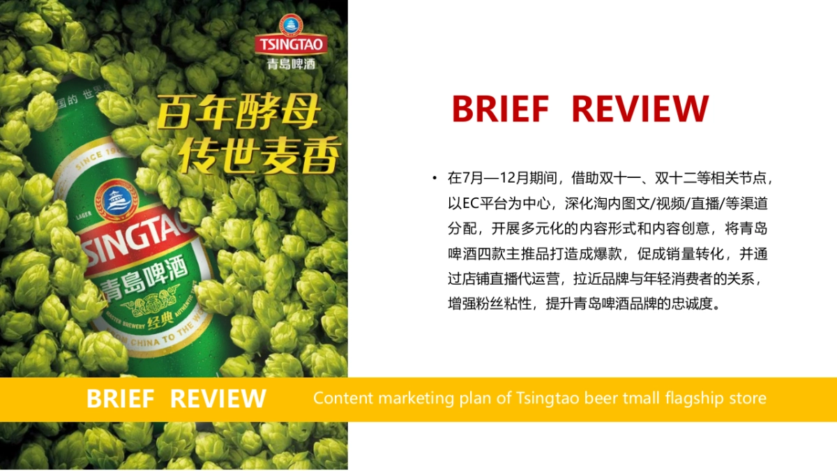 2020啤酒品牌天猫旗舰店内容营销方案_第4页