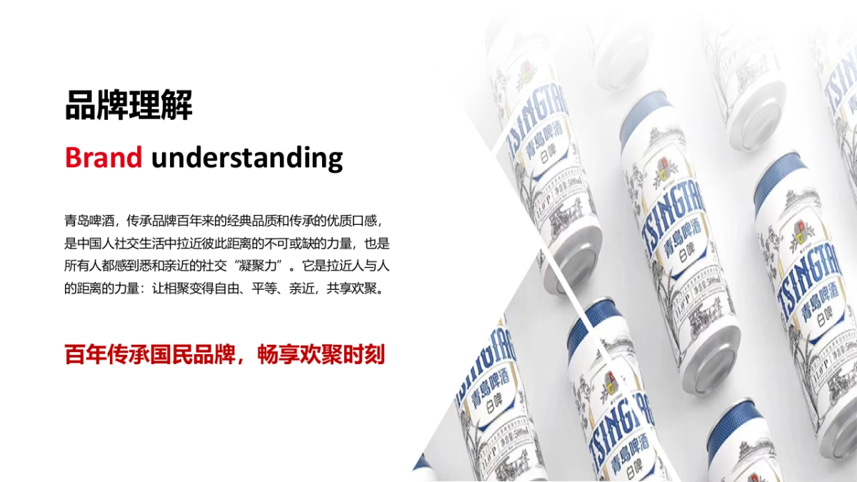 2020啤酒品牌天猫旗舰店内容营销方案_第9页