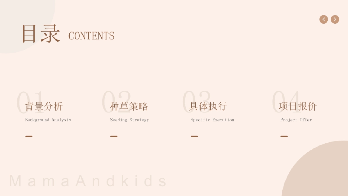 MamaAndkids小红书种草方案_第2页