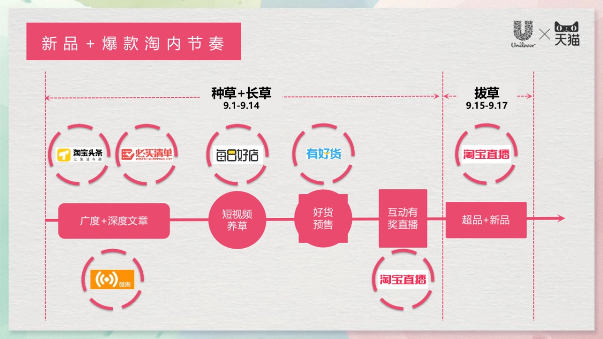 天猫超级品牌日种草方案_第5页
