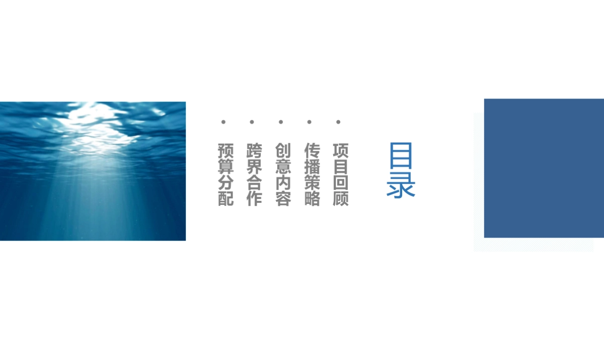 微鲸微投上市推广 数字整合创意内容规划方案_第2页