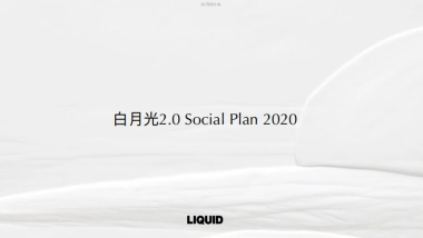 2020白月光 RN white 社交种草方案 