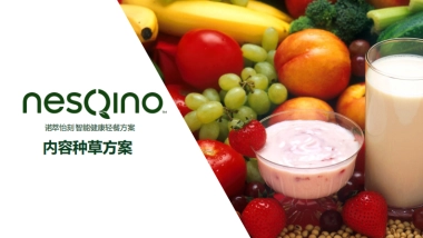 NesQino上市种草方案1224-提案版
