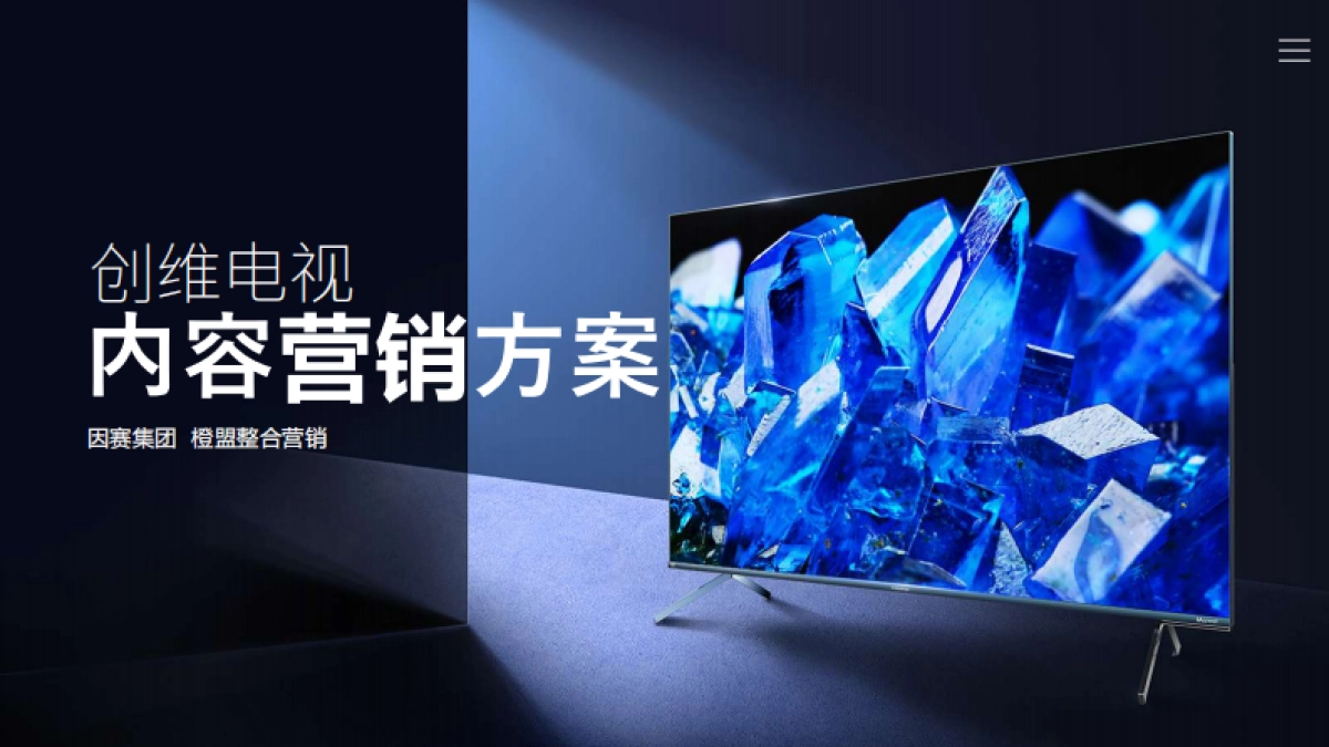 创维电视内容营销方案_第2页