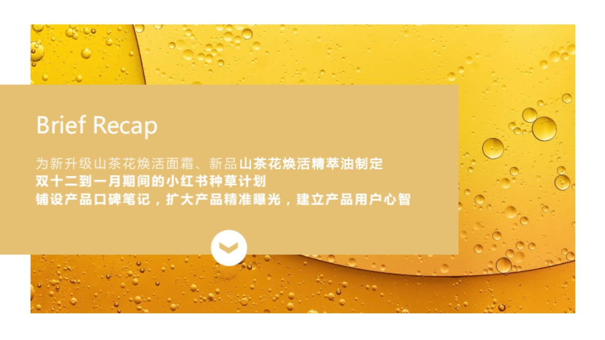 美妆洗护=2021 相宜本草双十一种草方案_第2页