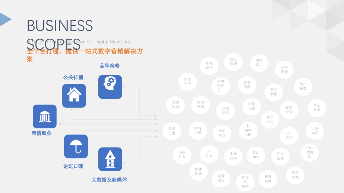 【硕为思】2019年度上汽乘用车荣威品牌新能源口碑传播及舆情生态建议案-硕为思_第6页