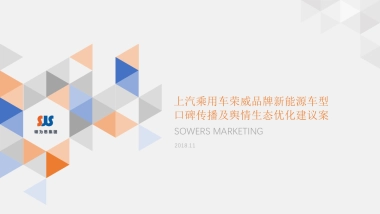 【硕为思】2019年度上汽乘用车荣威品牌新能源口碑传播及舆情生态建议案-硕为思