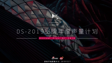 【新浪】DS-2019品牌年度声量计划