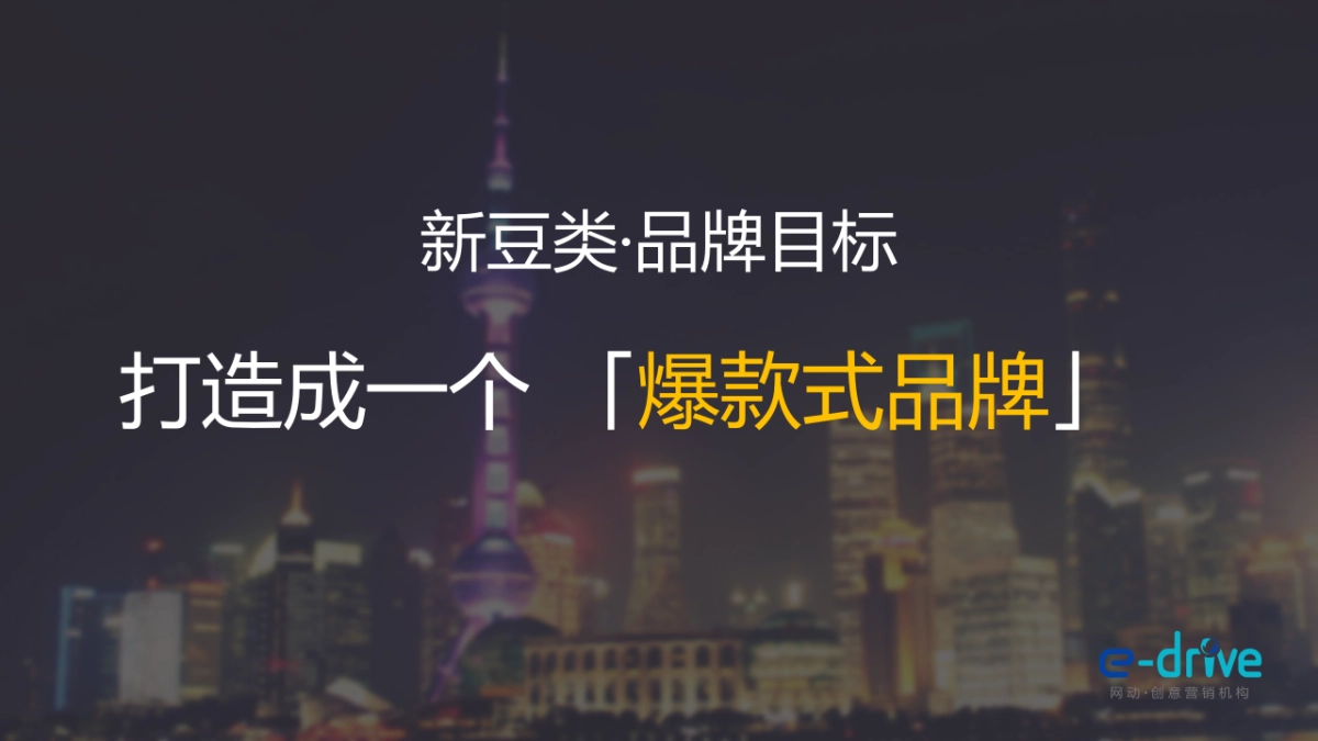 2019马大姐新豆类品牌打造方案_第5页