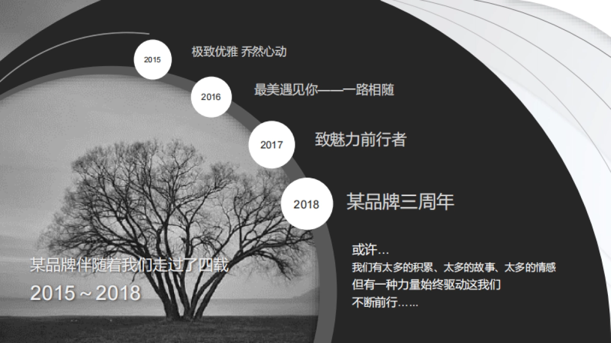 2019美容品牌上市周年庆典_第5页