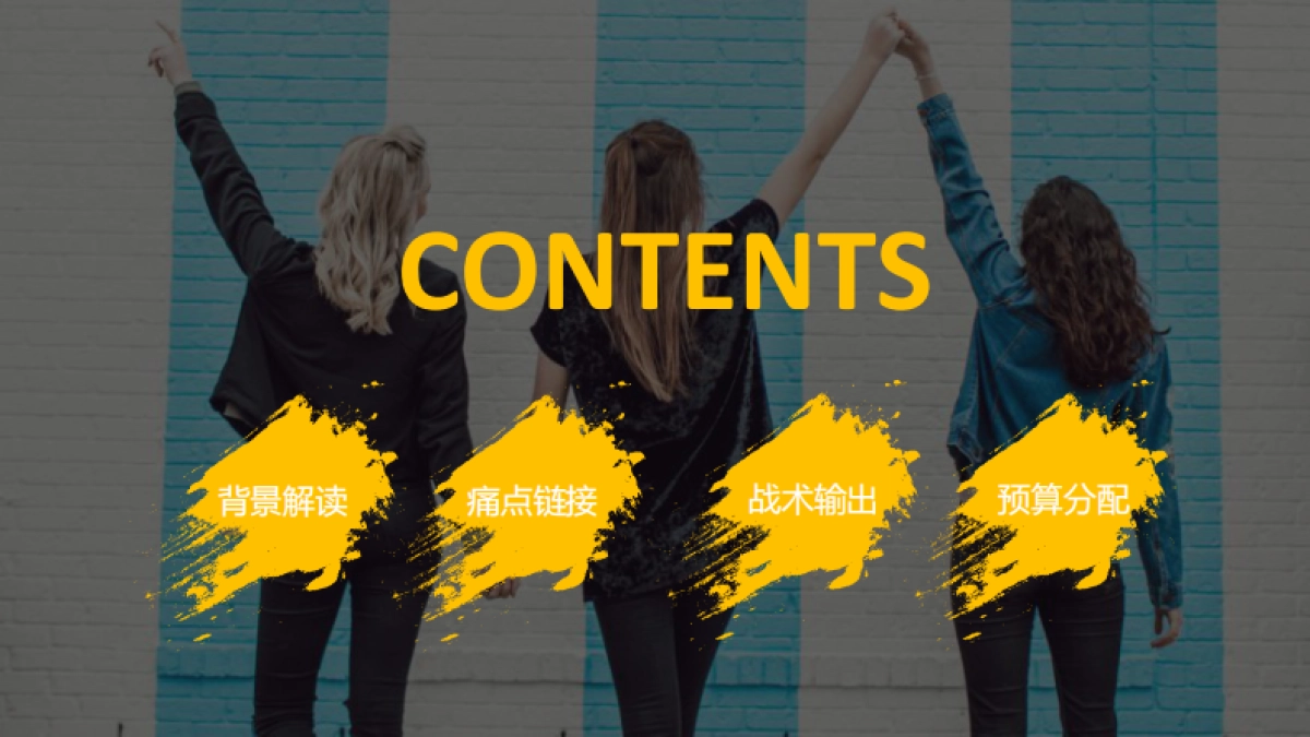 2019年自由点品牌卫生巾整合传播方案_第2页