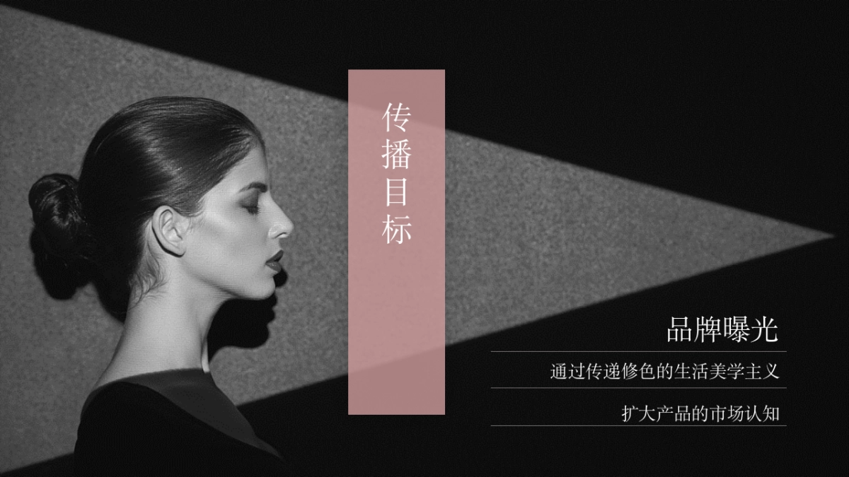 2019修色品牌传播方案_第4页