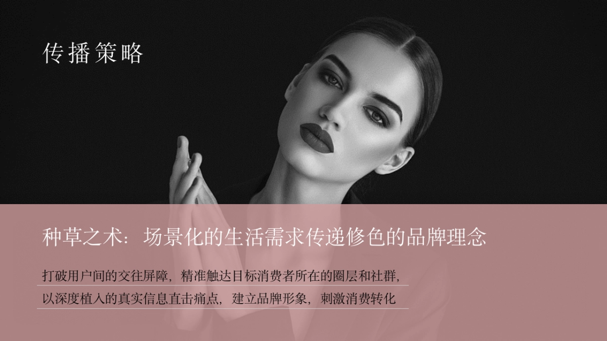2019修色品牌传播方案_第7页