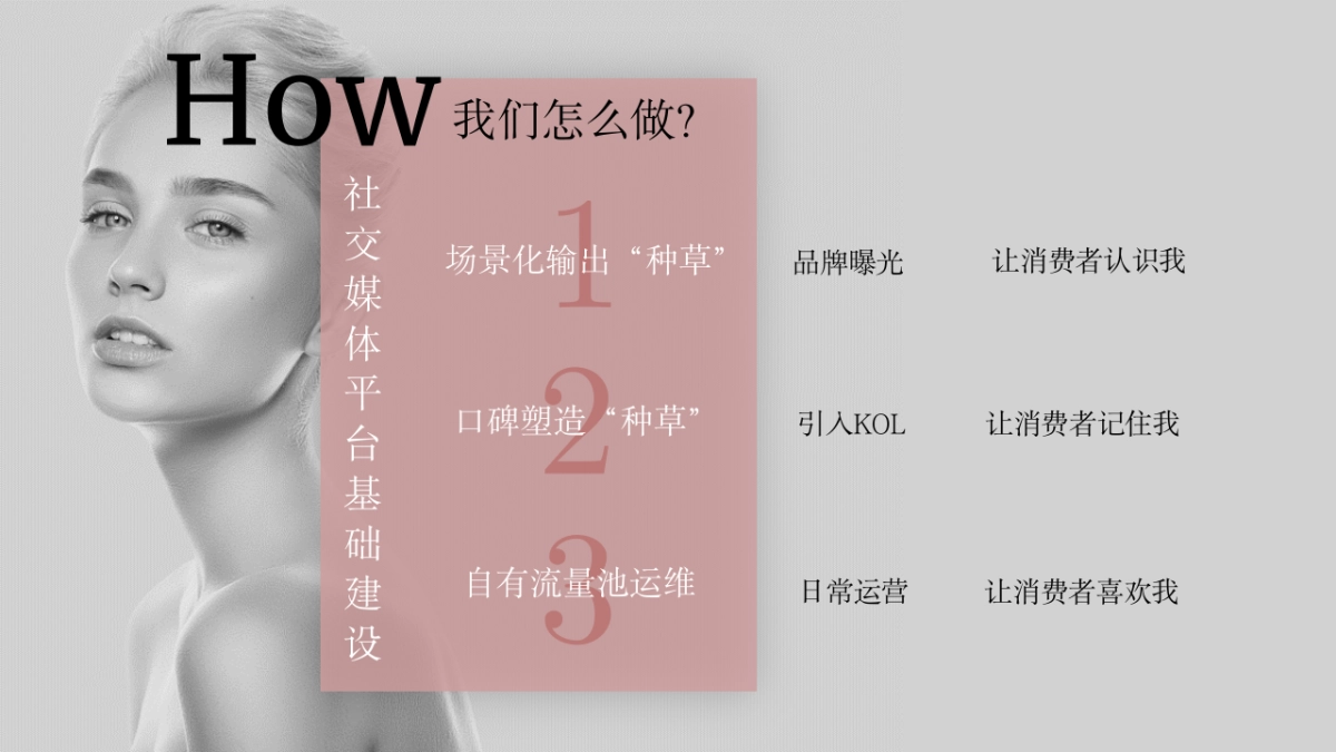 2019修色品牌传播方案_第8页