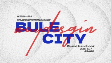 BLUE CITY品牌手册简要版