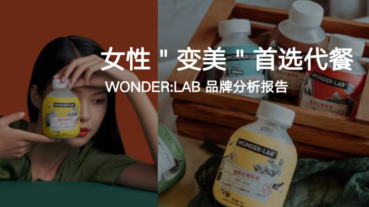 wonderlab品牌分析报告_第1页