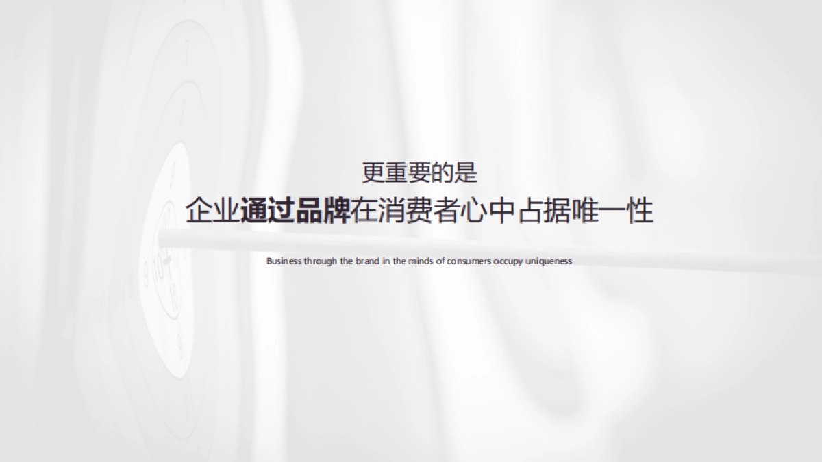 倍加洁品牌升级提案文件汇_第6页