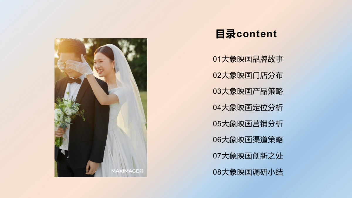 大象映画品牌调研报告_第2页