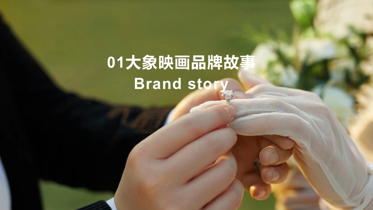 大象映画品牌调研报告_第3页
