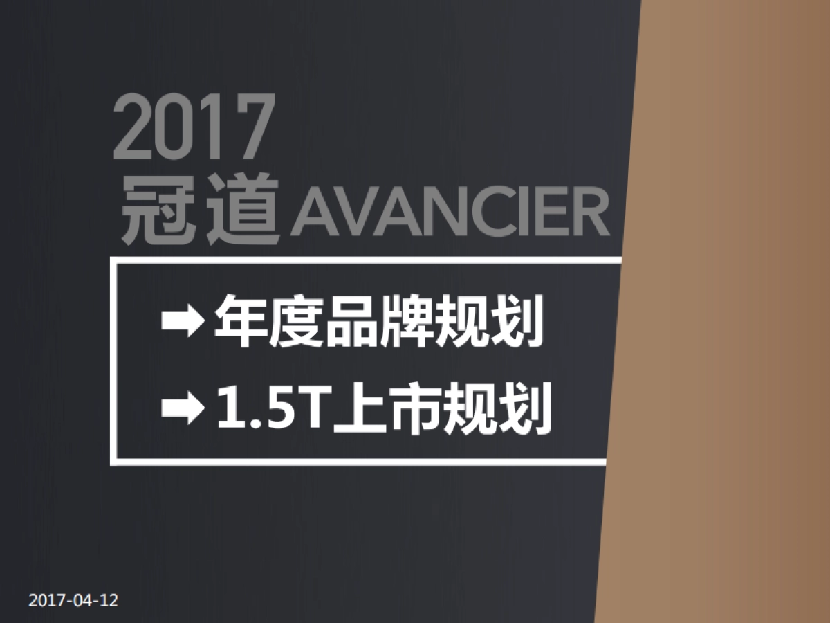 冠道年度品牌规划方案_第1页