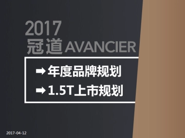 冠道年度品牌规划方案