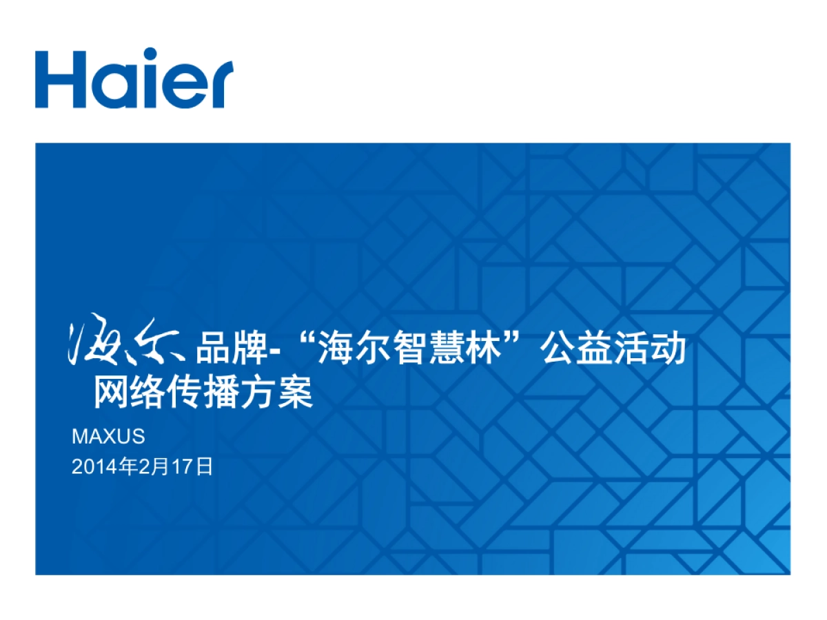 海尔品牌海尔智慧林网络传播方案_第1页