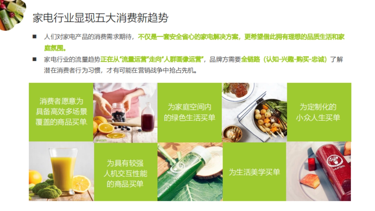 韩国惠人Hurom品牌全线运营方案_第5页