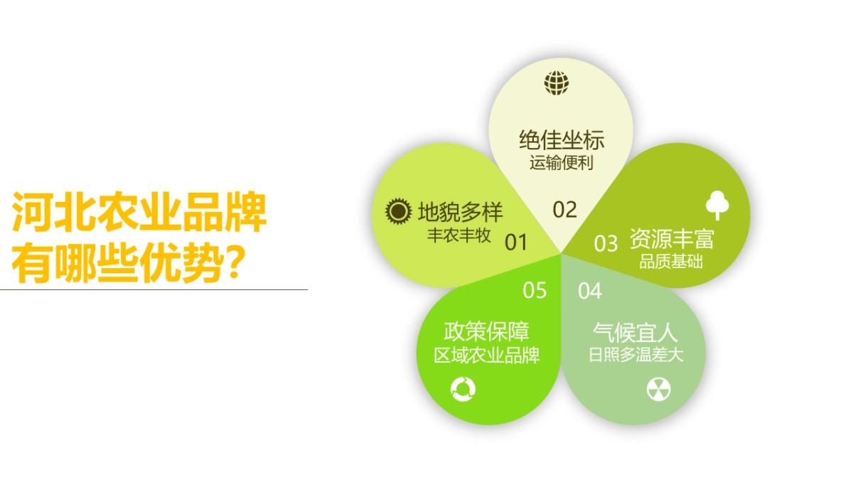 河北农业厅区域农业品牌丰双微搭建运营方案_第9页