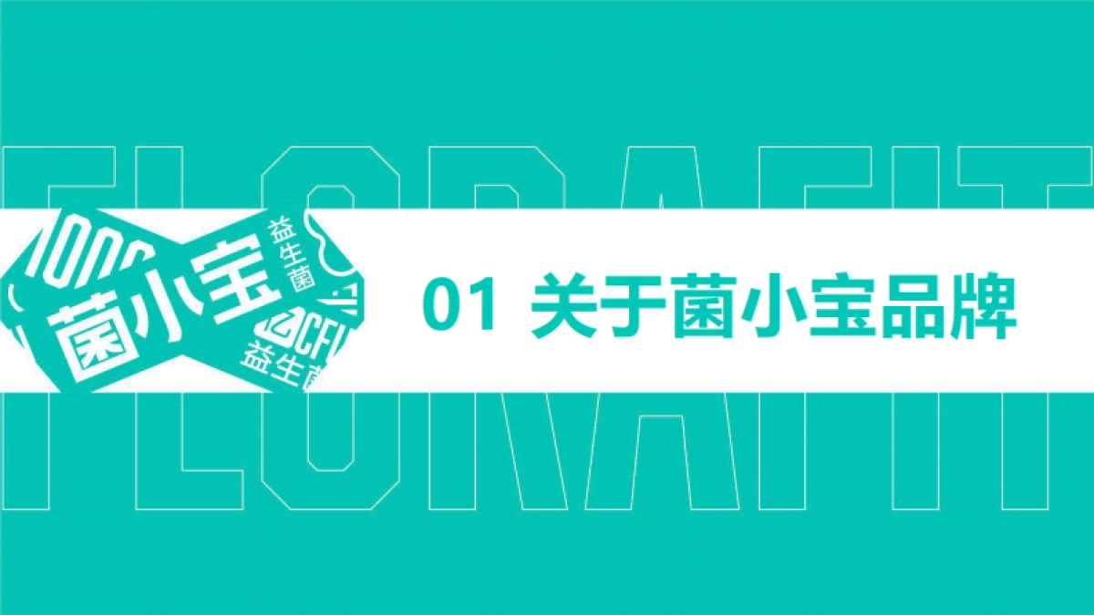 菌小宝益生菌2023品牌介绍手册_第3页