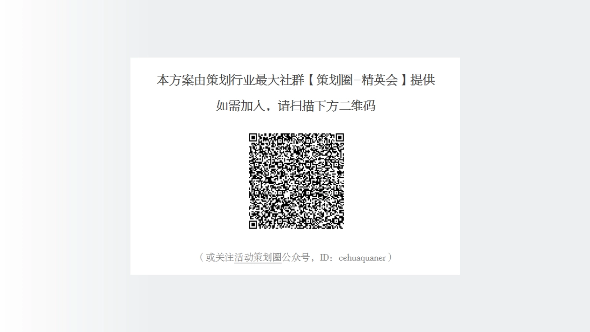 蓝妹啤酒年品牌年度规划方案_第2页