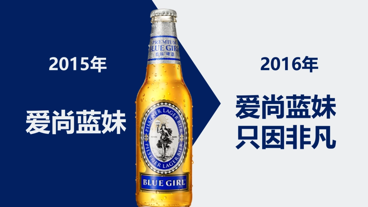 蓝妹啤酒年品牌年度规划方案_第3页