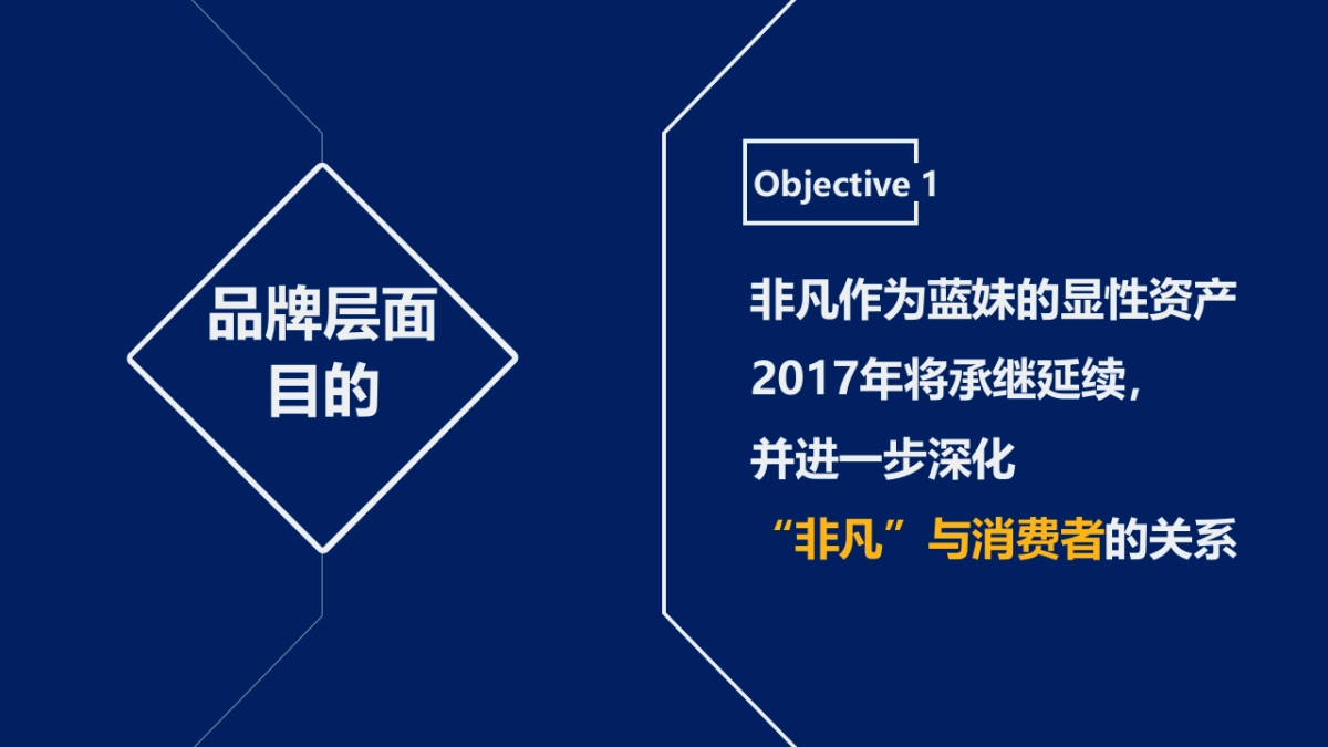 蓝妹啤酒年品牌年度规划方案_第5页