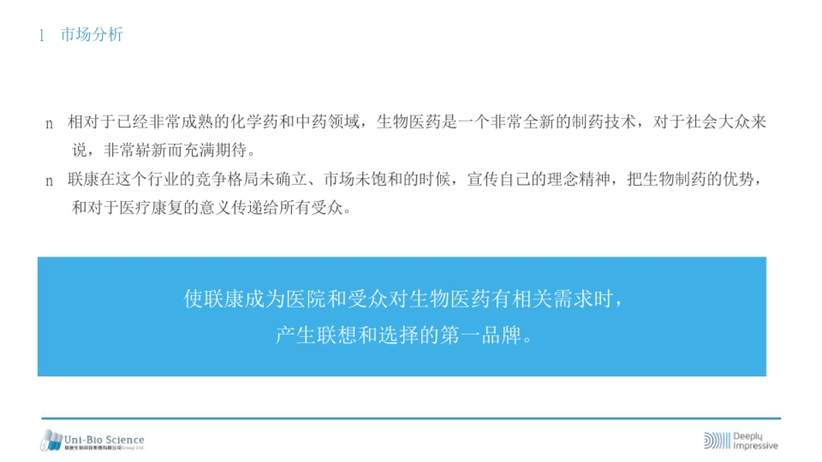 联康品牌传播规划方案_第10页