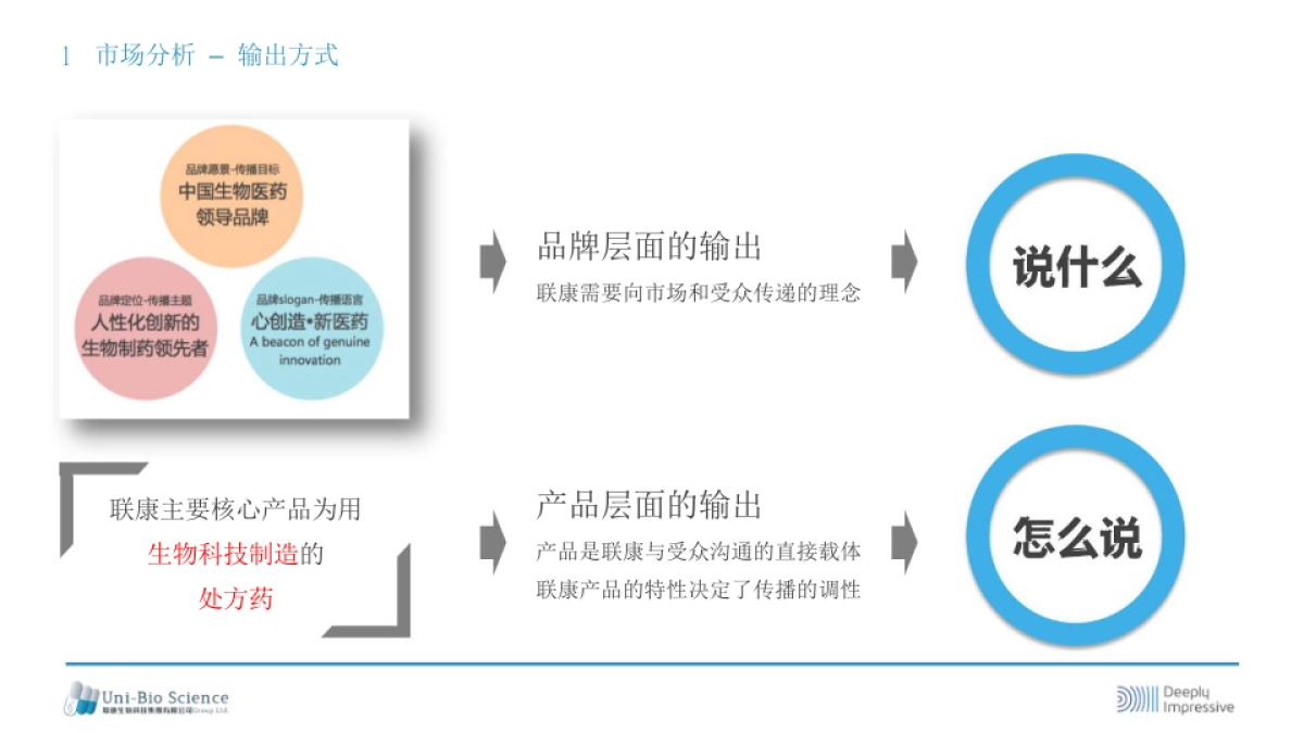 联康品牌传播规划方案_第7页