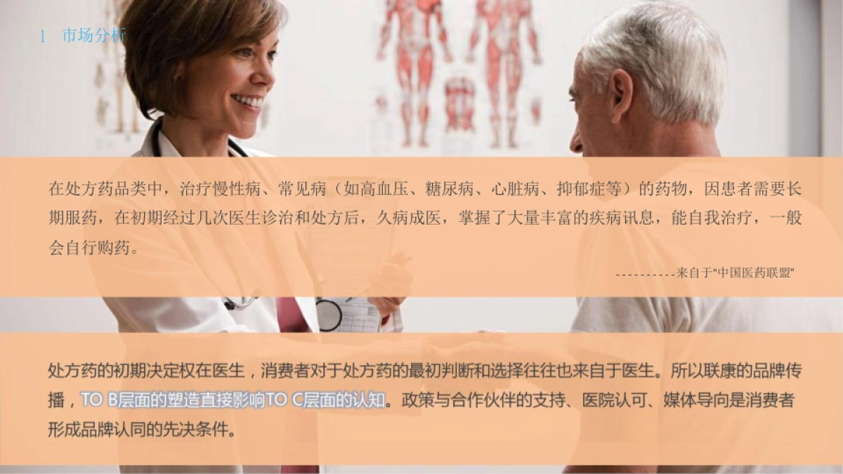 联康品牌传播规划方案_第9页