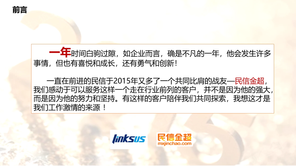 灵思民信金超2016品牌规划方案_第2页