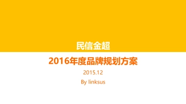 灵思民信金超2016品牌规划方案
