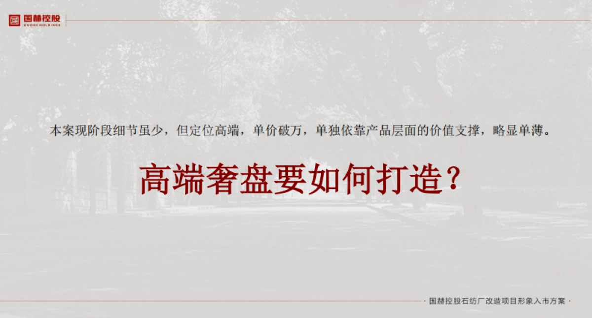 六度品牌国赫控股石纺厂项目入市方_第4页