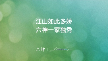 六神洗发水品牌年轻化年度比稿提案