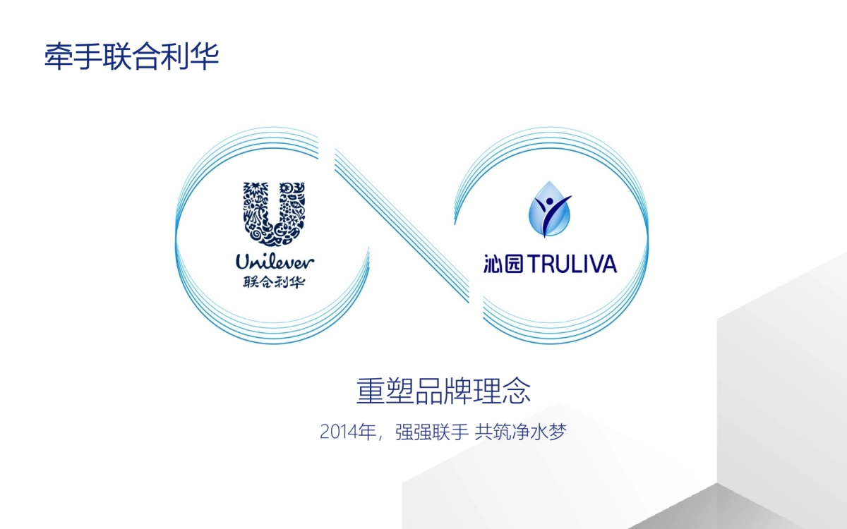 沁园天猫超级品牌日方案_第5页